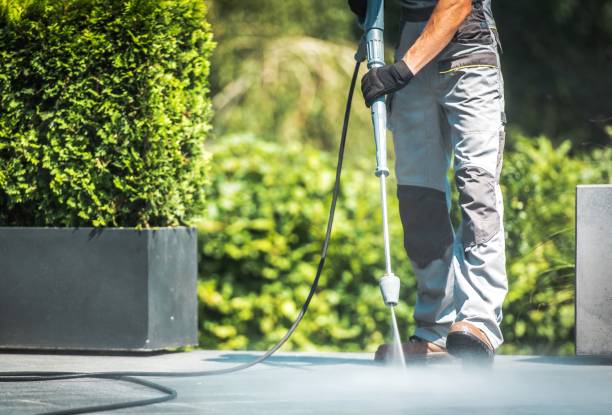 Best Dumpster Area Cleaning  in Virginia Gardens, FL