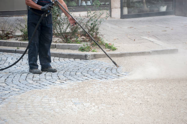 Best Spring Cleaning  in Virginia Gardens, FL