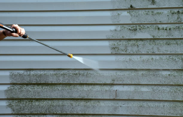 Best Solar Panel Cleaning  in Virginia Gardens, FL